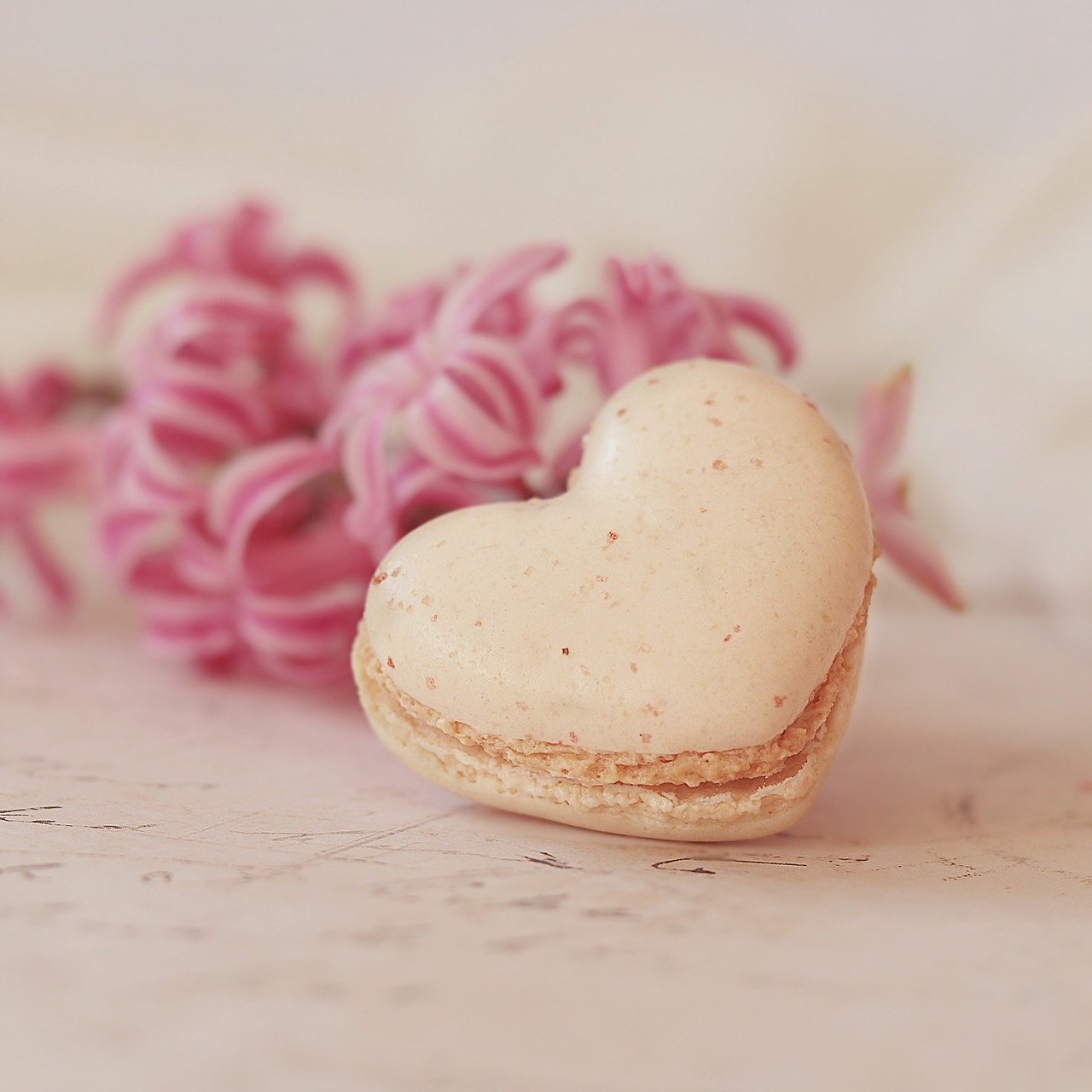 macaron, heart, pastry-6387504.jpg